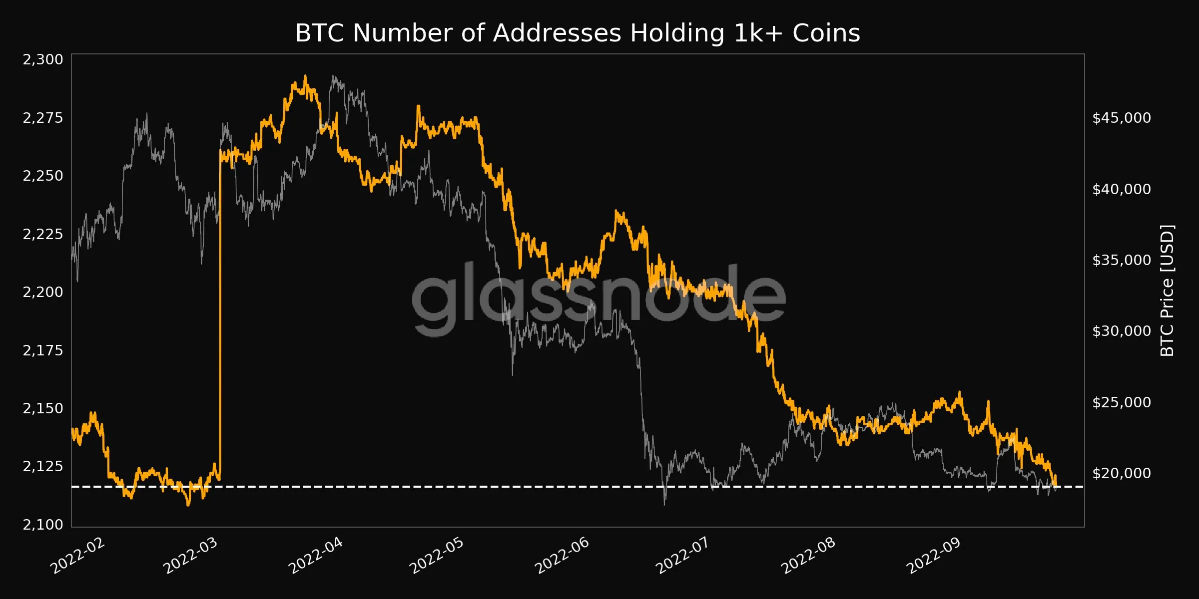 Lượng địa chỉ ví BTC có số dư từ 1,000. Nguồn: glassnode.