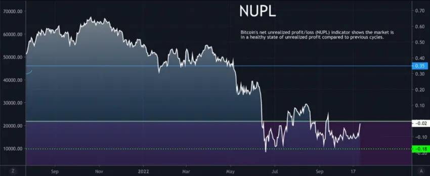 Bitcoin NUPL | Nguồn: CryptoQuant
