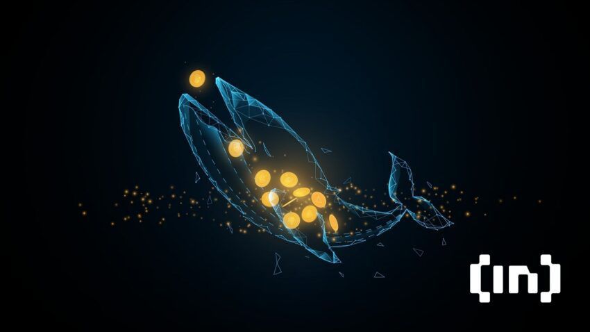 Cá voi đang tích luỹ Bitcoin trên Binance
