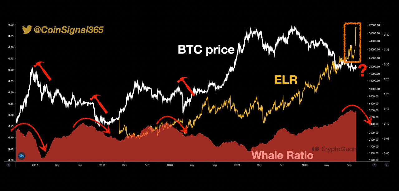 So sánh giá BTC, tỷ lệ đòn bẩy và Whale Ratio. Nguồn: CoinSignal365/CryptoQuant.
