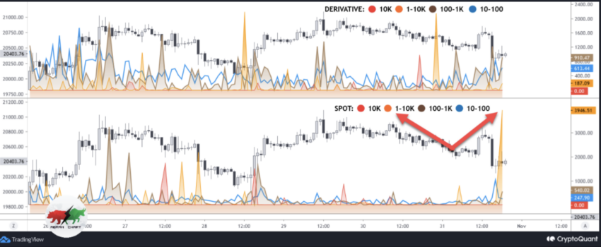 Hành trình di chuyển của cá voi BTC. 3 dự đoán giá Bitcoin thời gian tới.