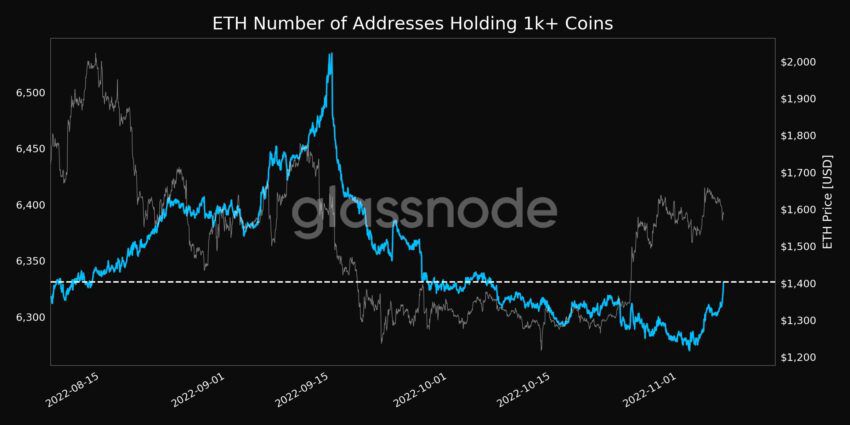 Số lượng địa chỉ giữ hơn 1,000 ETH. Nguồn: Glassnode