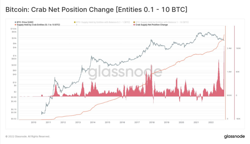 Tôm Bitcoin nắm giữ cũng ở mức cao nhất mọi thời đại trong 30 ngày qua. Nguồn: Twitter