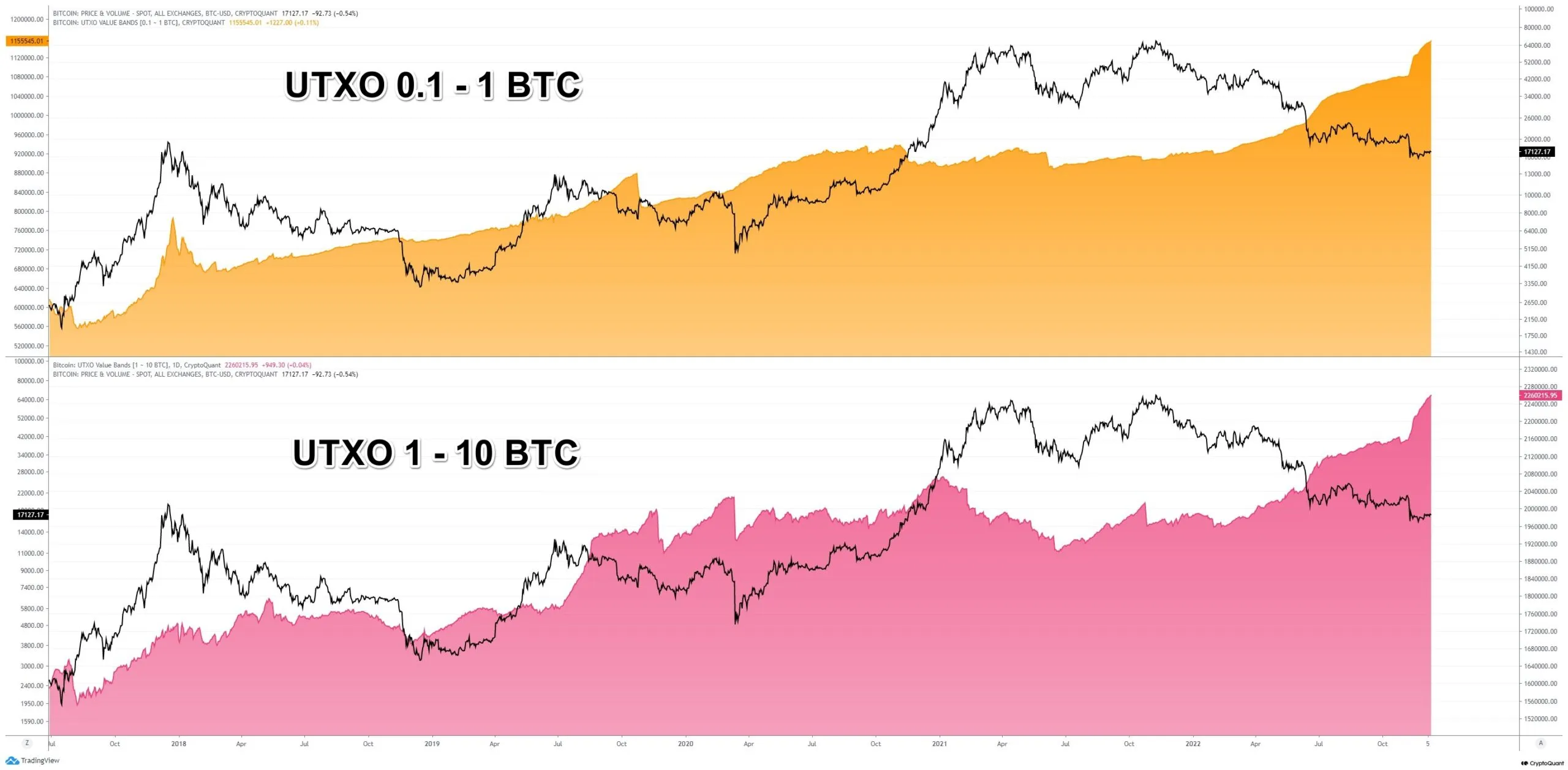 Bitcoin Unspent Transaction Output. Nguồn: @binhdangg1/CryptoQuant.