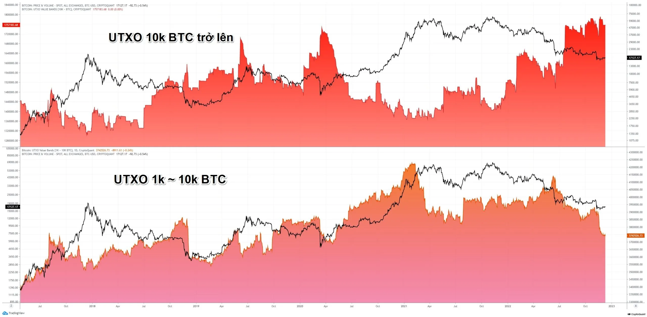 Bitcoin Unspent Transaction Output. Nguồn: @binhdangg1/CryptoQuant.