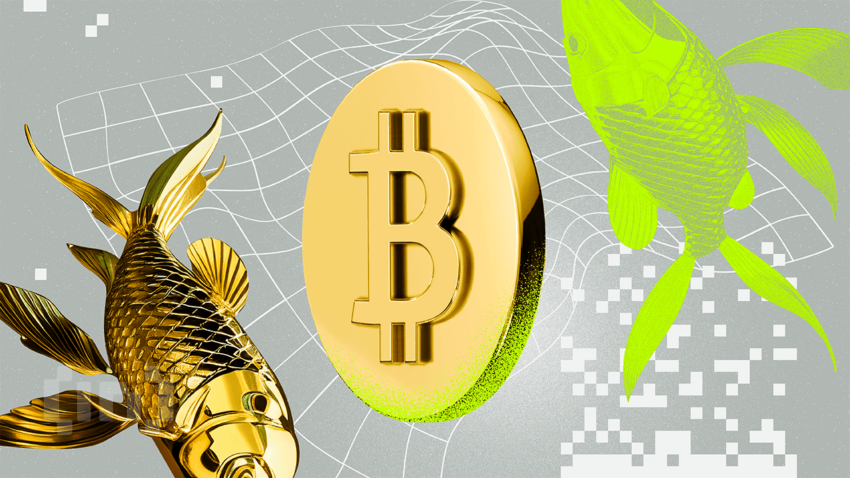 Chỉ báo Altcoin Season Index cảnh báo một mùa Bitcoin đang đến gần 