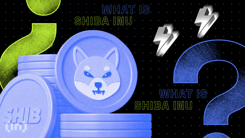 Giá SHIB ngày 11/2: Giảm 23% nhưng xu hướng tăng giá vẫn còn