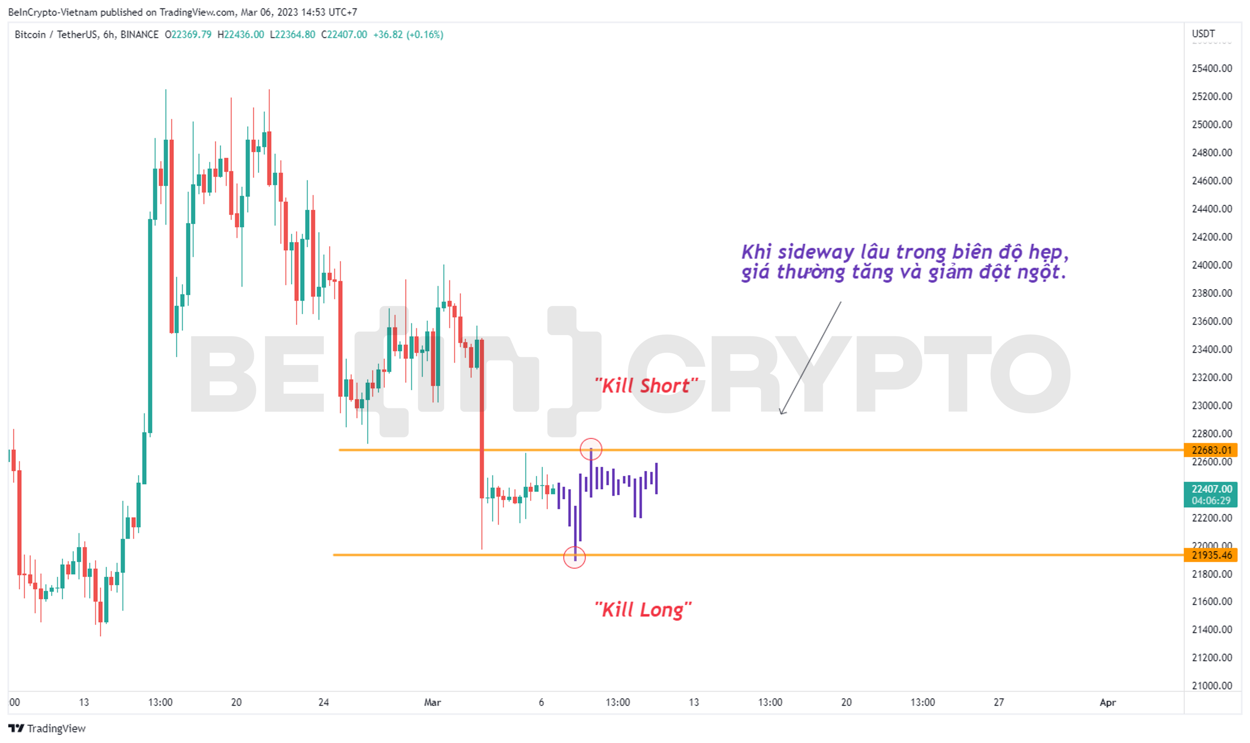 Phân tích giá Bitcoin với hiện tượng tăng giảm đột ngột.