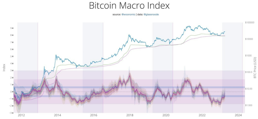 Biểu đồ chỉ số vĩ mô Bitcoin (BTC) 2012 - 2023. Nhà phân tích trực tuyến Willy Woo. Nguồn: Twitter