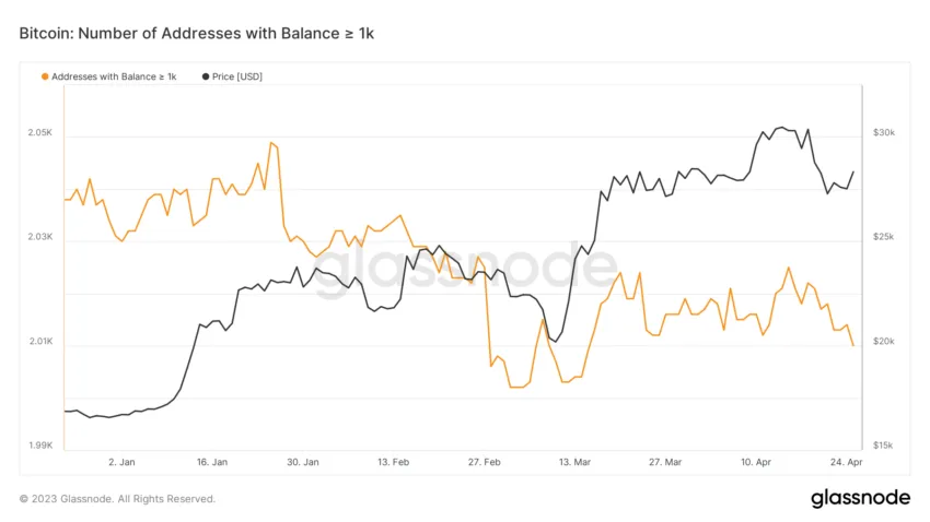 Những địa chỉ nắm giữ hơn 1,000 BTC. Nguồn: Glassnode