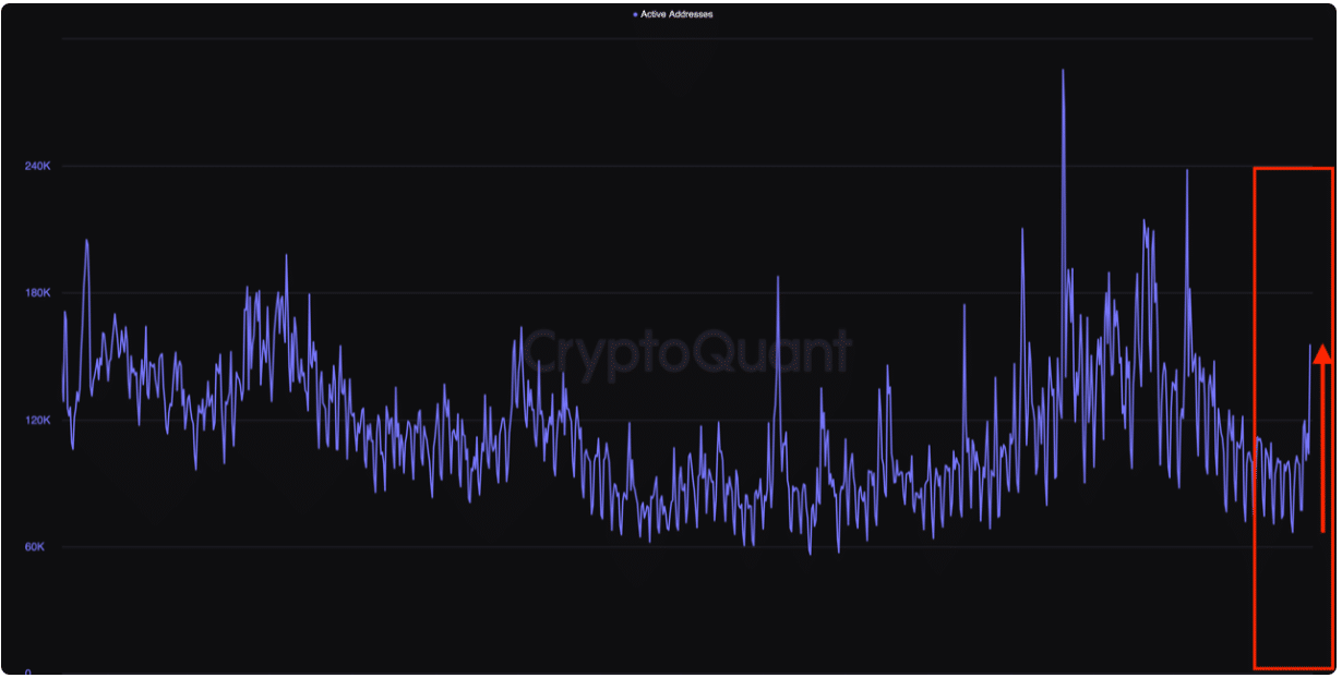 Lượng địa chỉ ví stablecoin đang hoạt động. Nguồn: CryptoQuant