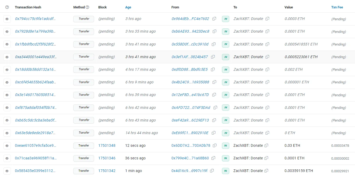 Các khoản donate cho ZachXBT. Nguồn: Etherscan