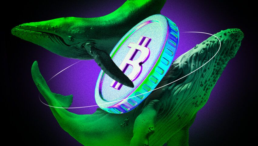 Cá voi trên 10,000 BTC đang tranh thủ quá trình sideway của Bitcoin để phân phối