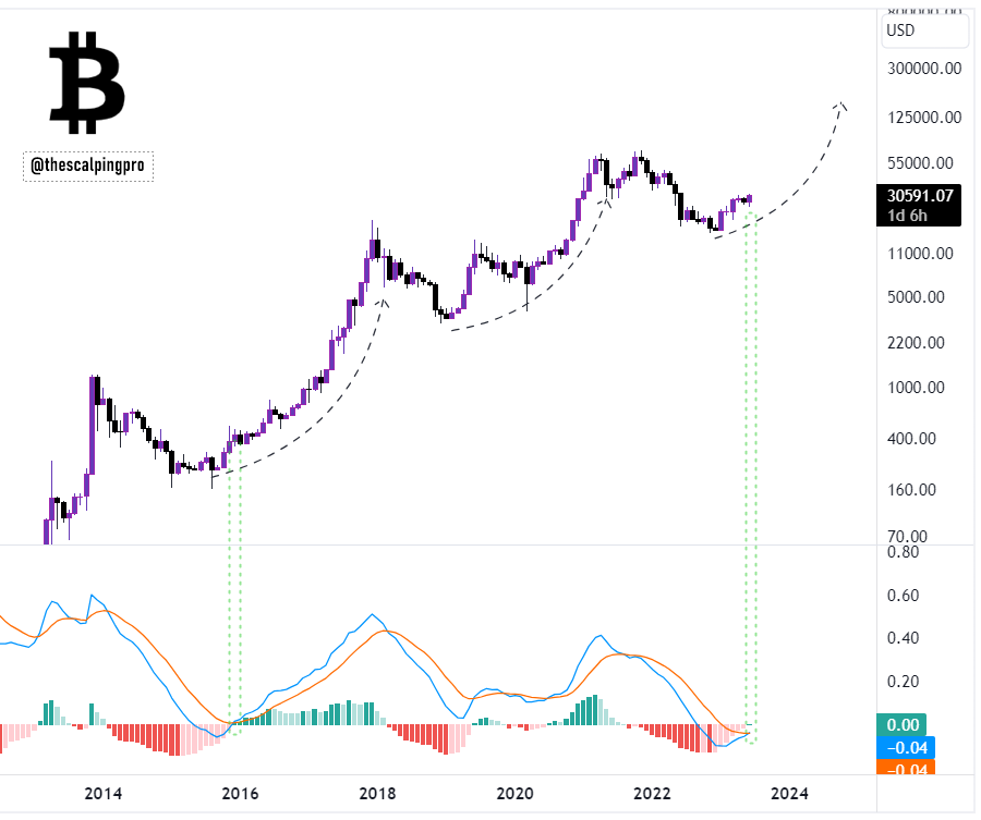 Phân tích giá Bitcoin với chỉ báo MACD-H khung tháng. Nguồn: @thescalpingpro