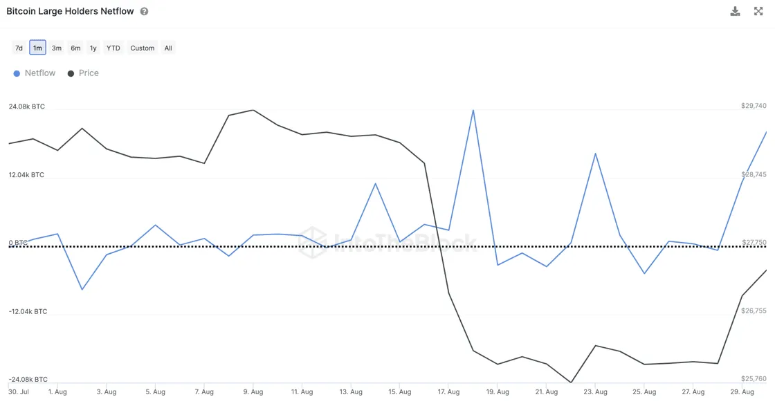 Bitcoin Large Holders. Nguồn: IntoTheBlock