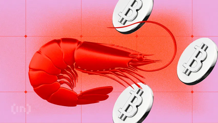 Các ví BTC hạng Shrimp (Tôm) đang tích lũy thêm Bitcoin