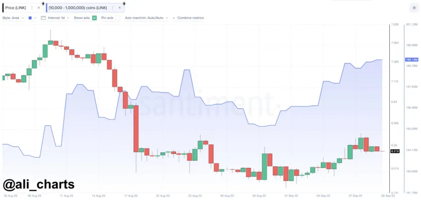 Biểu đồ tích lũy của cá voi LINK