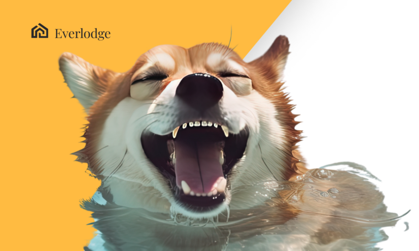 Các cá voi tại Việt Nam tiếp tục mua vào Shiba Inu, Cardano và Everlodge
