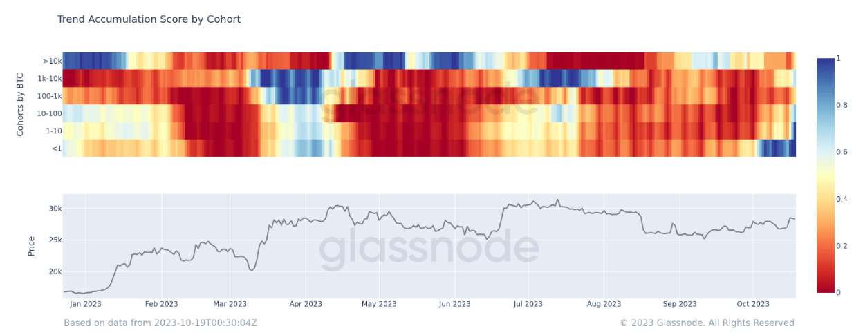 Accumulation Trend Score. Nguồn: glassnode.