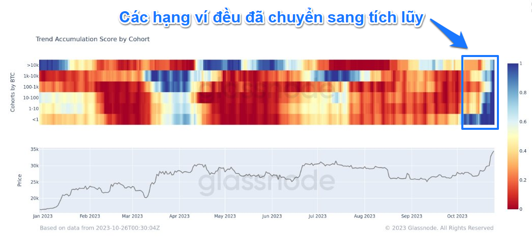 Trend Accumulation Score by Cohort. Nguồn: Glassnode.