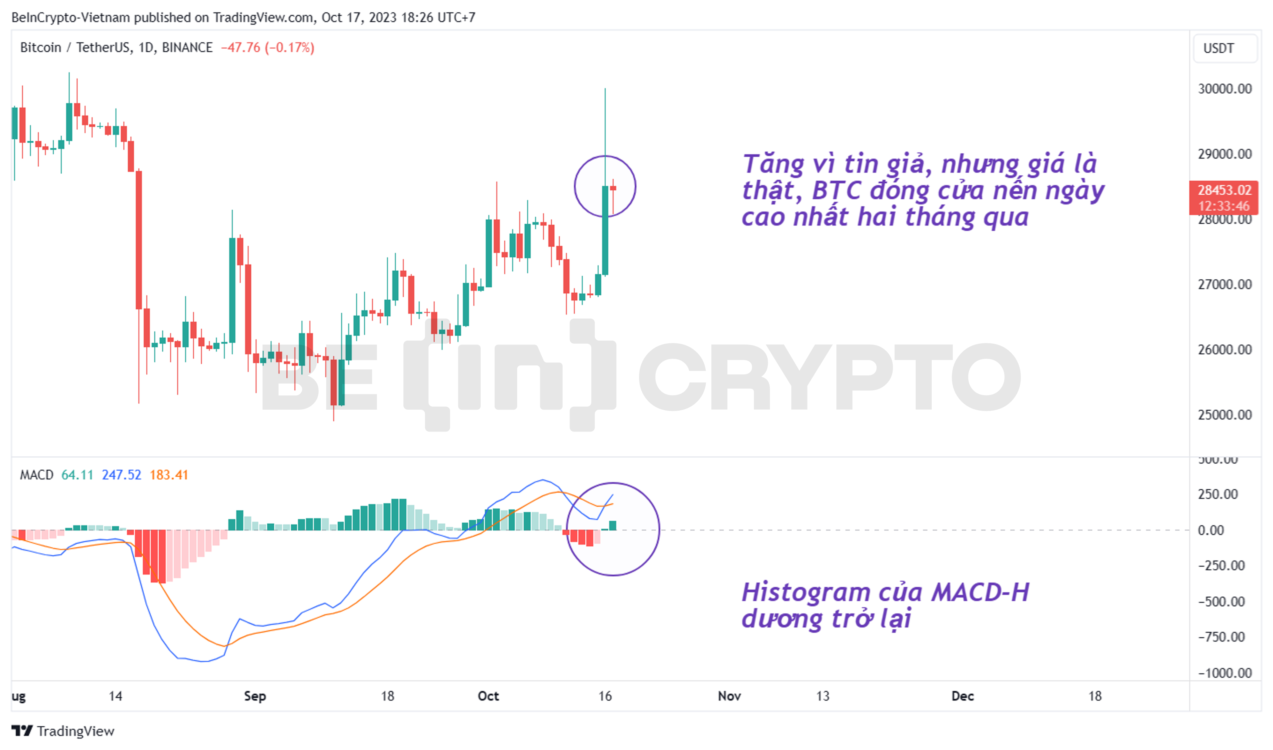 Giá Bitcoin pump với nến ngày bất thường vì fake news từ Cointelegraph.