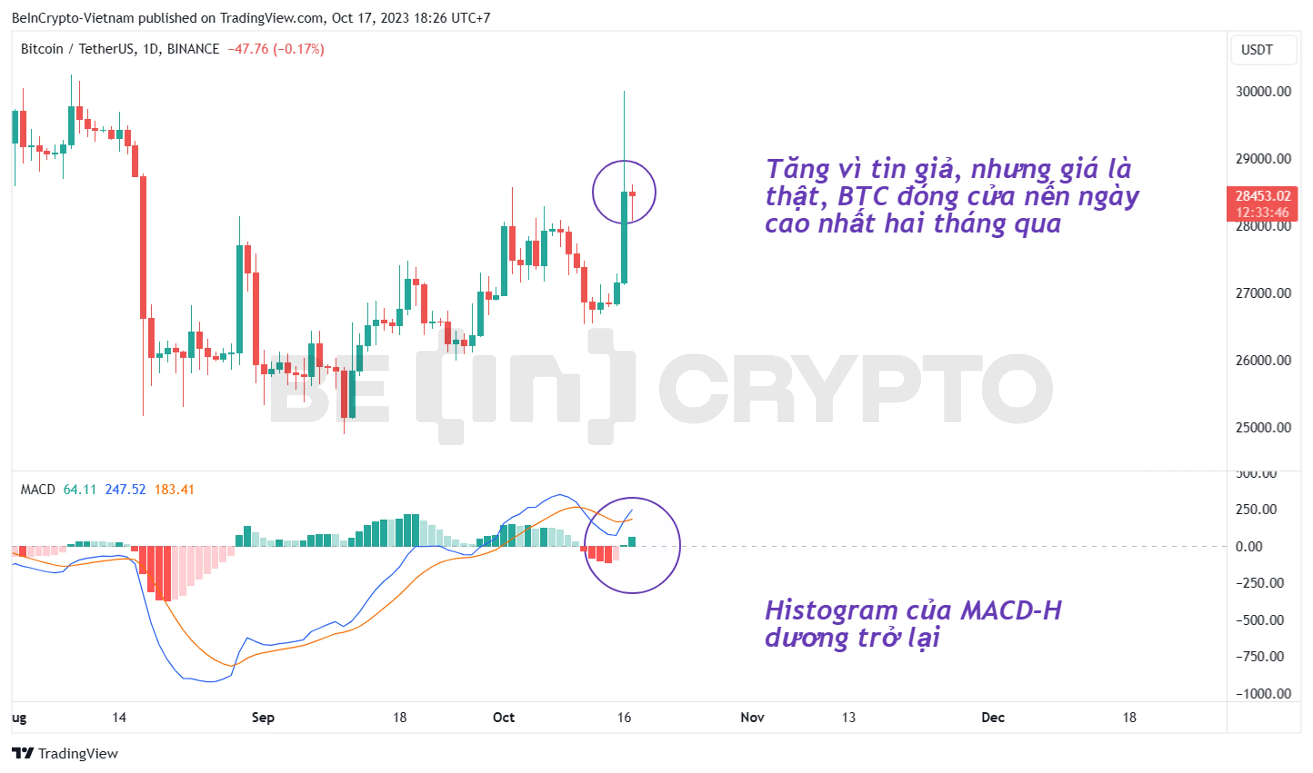 Giá Bitcoin pump với nến ngày bất thường vì fake news từ Cointelegraph.