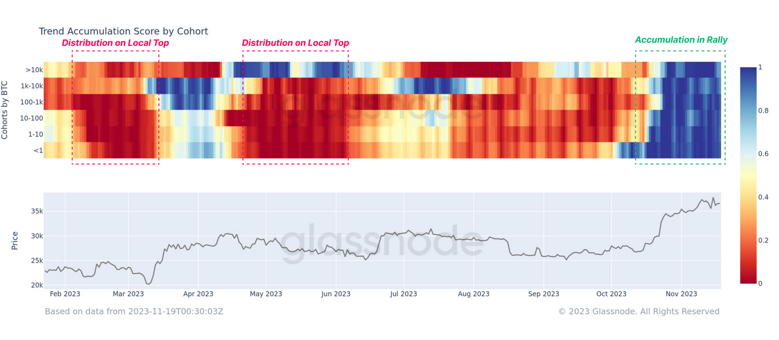 Bitcoin Accumulation Score by Cohort. Nguồn: glassnode.