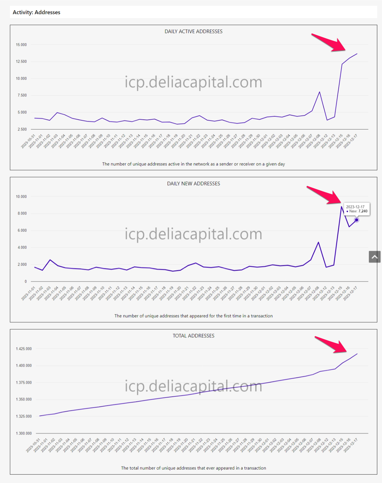 Thống kê về lượng địa chỉ ví Internet Computer (ICP). Nguồn: deliacapital.