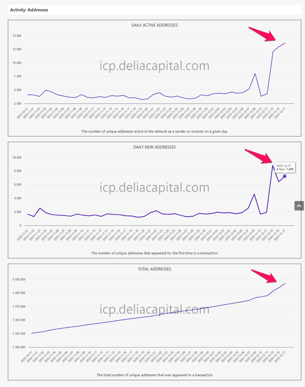 Thống kê về lượng địa chỉ ví Internet Computer (ICP). Nguồn: deliacapital.
