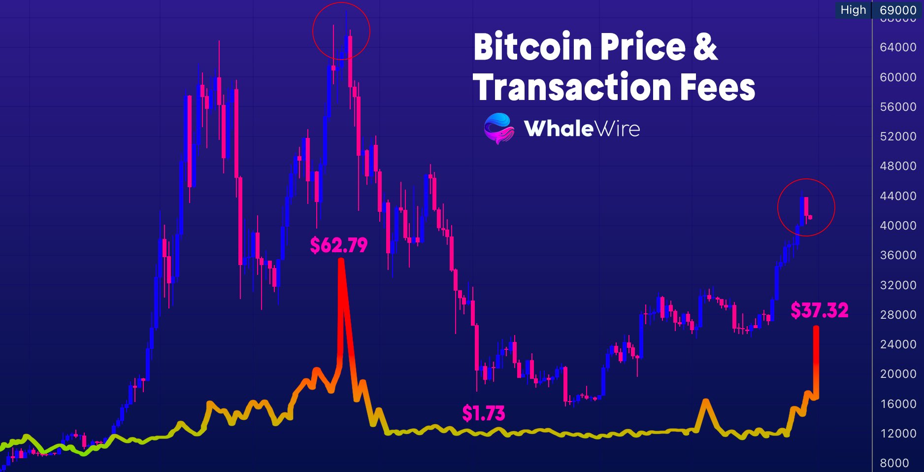 Biến động giữa giá và phí giao dịch Bitcoin. Nguồn: WhaleWire