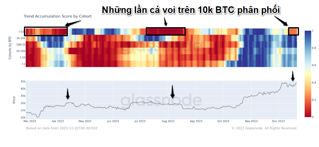 Điểm xu hướng tích lũy theo các hạng ví. Nguồn: glassnode.