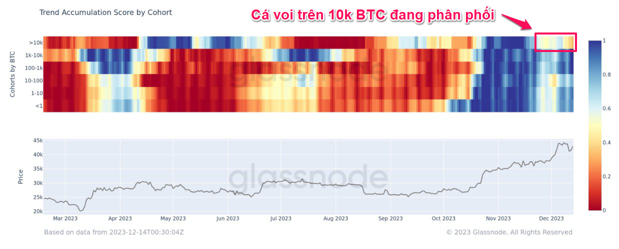 Điểm xu hướng tích lũy của các hạng ví. Nguồn: glassnode.