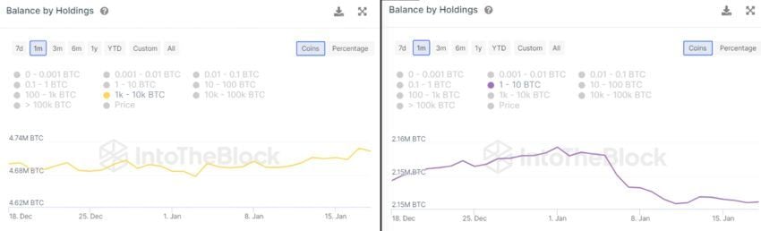 Tỷ lệ nắm giữ BTC