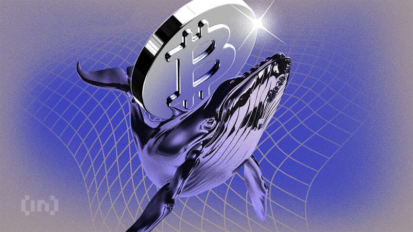 Thế hệ cá voi Bitcoin mới đang có lợi nhuận nhanh hơn thế hệ cũ