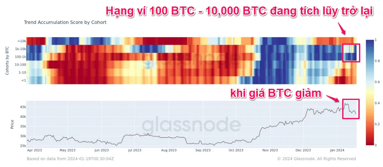 Điểm xu hướng tích lũy trên chuỗi. Nguồn: glassnode.