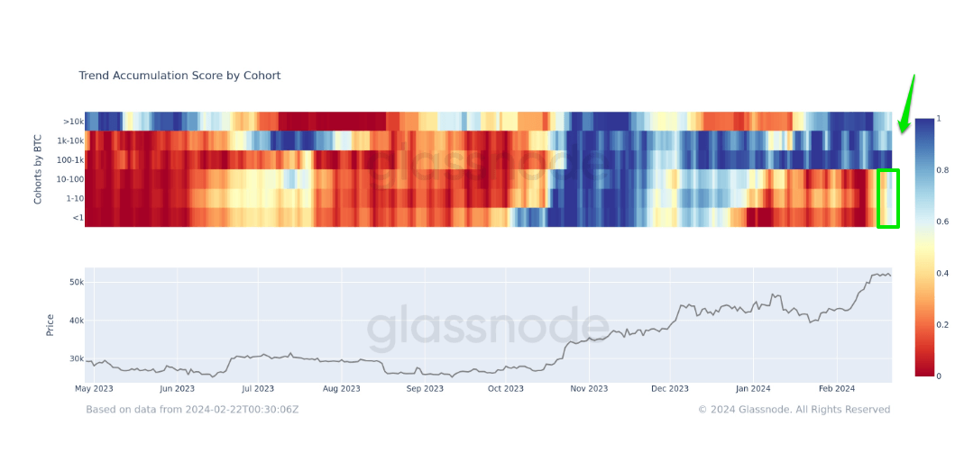 Trend Accumulation Score by Cohord. Nguồn: glassnode.