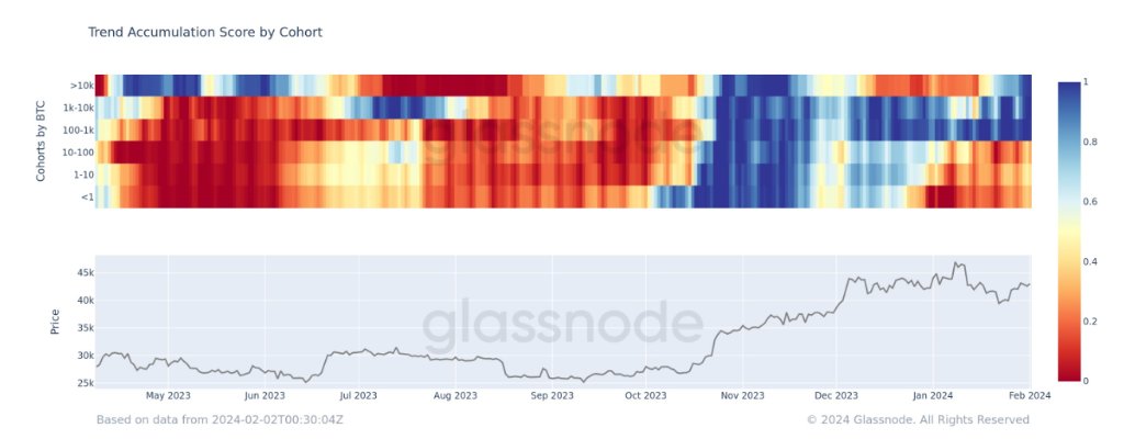 Điểm xu hướng tích lũy của Bitcoin. Nguồn: glassnode.