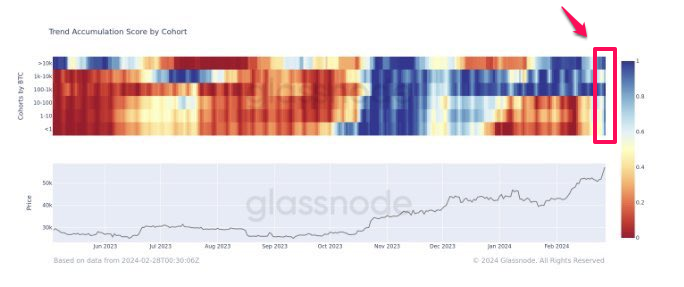 Bitcoin Trend Accumulation Score by Cohort. Nguồn: glassnode.