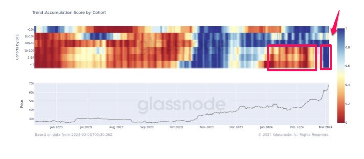 Điểm xu hướng tích lũy theo các hạng vị. Nguồn: glassnode.