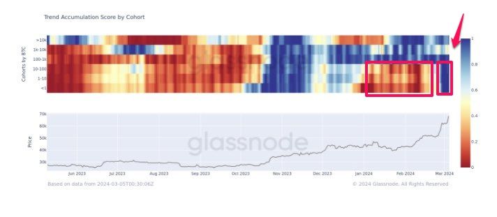 Điểm xu hướng tích lũy theo các hạng vị. Nguồn: glassnode.