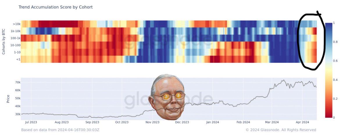 Bitcoin Trend Accumulation Score by Cohort. Nguồn: glassnode/bitcoinmunger