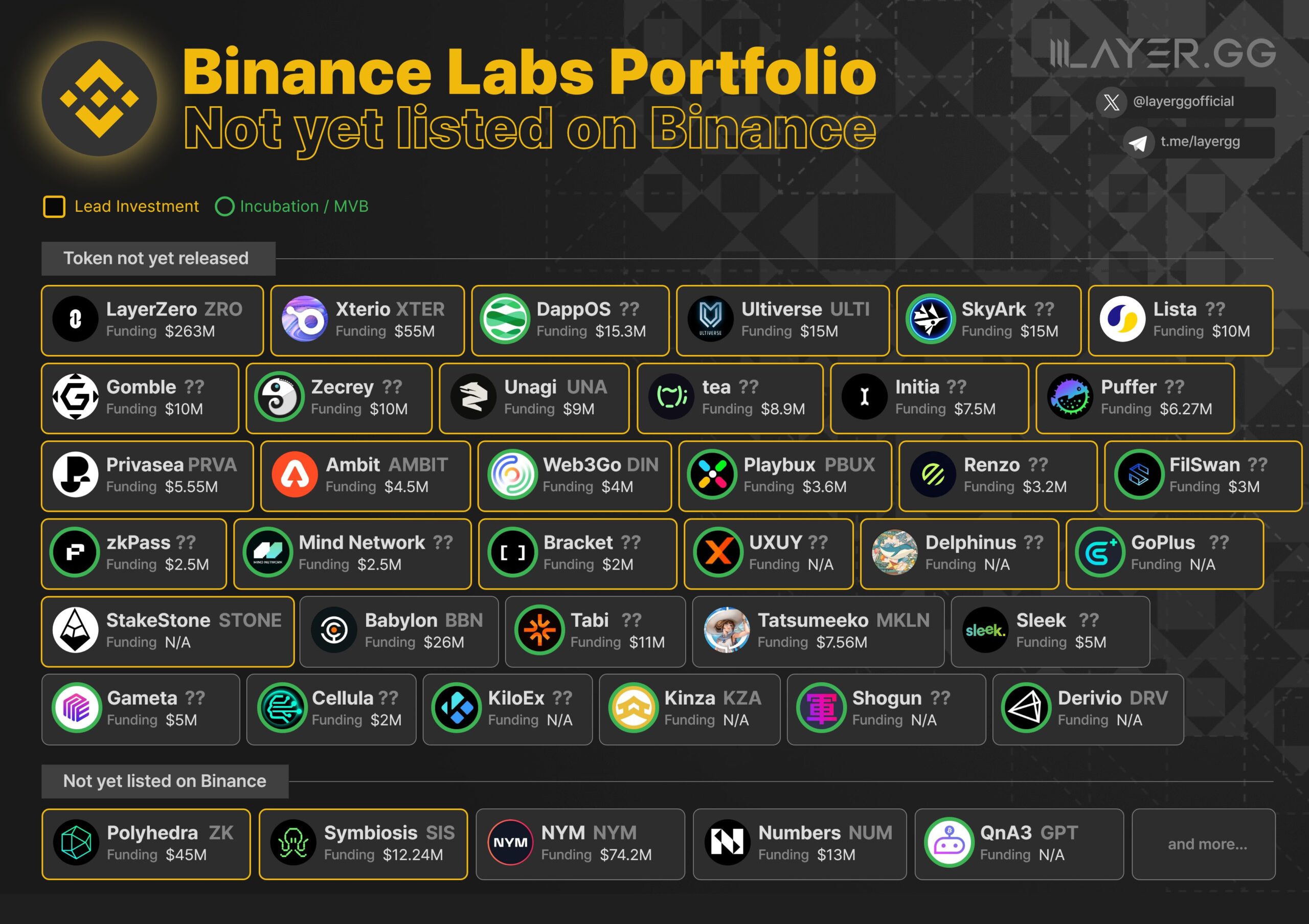 Binance Labs portfolio. Nguồn: Layergg