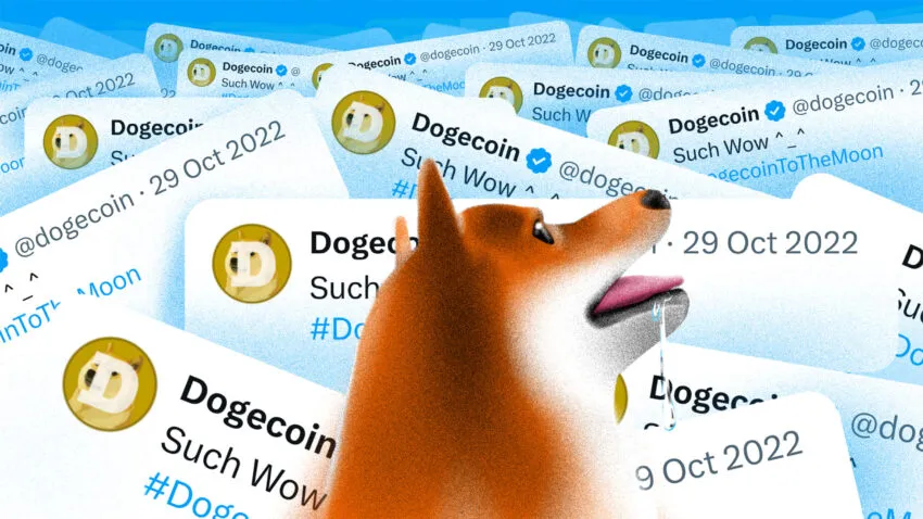 Giá Dogecoin (DOGE) có thể tăng 90% sau tweet “D.O.G.E” của Elon Musk