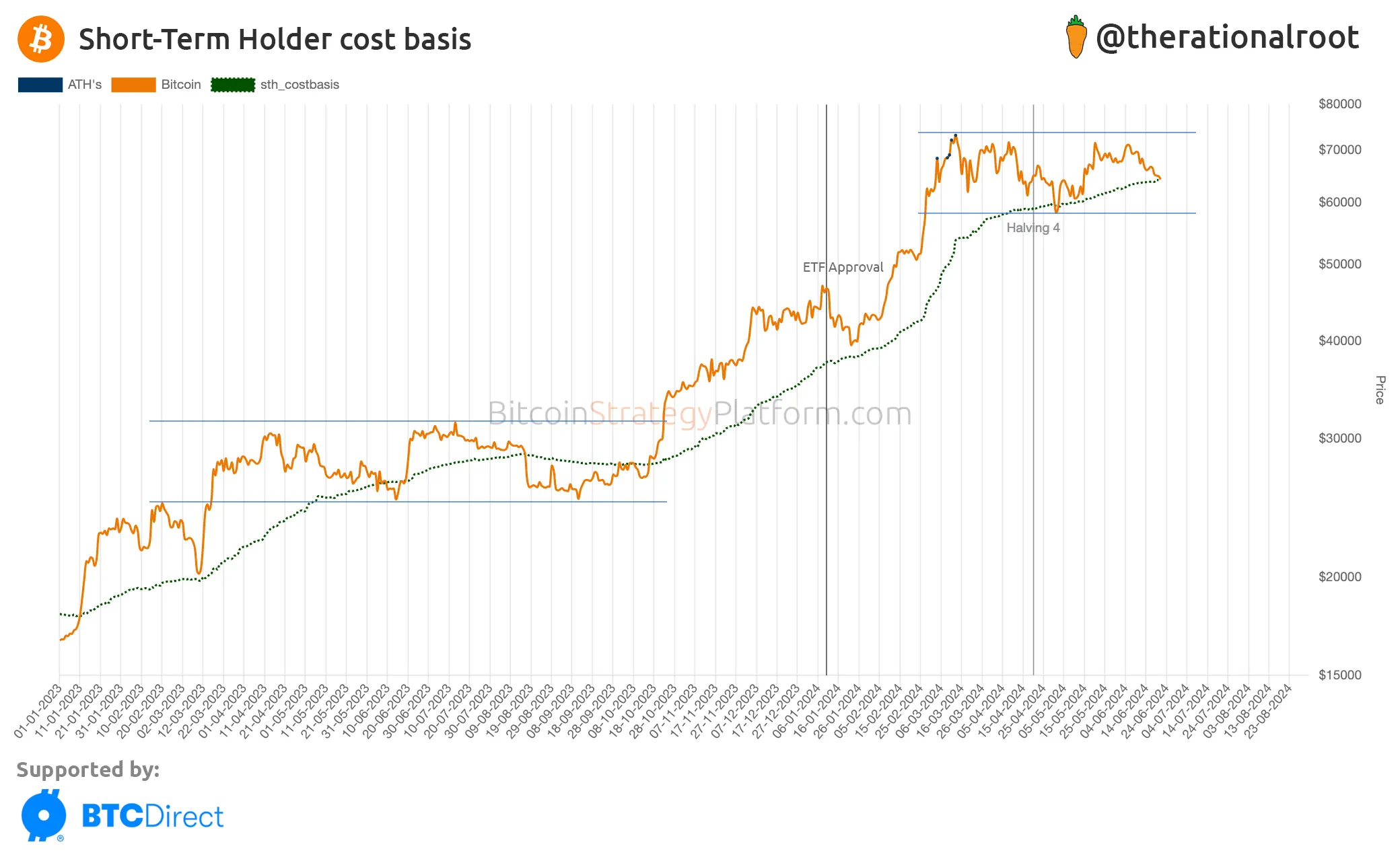 Short-term Holder Cost Basic. Nguồn: @therationalroot