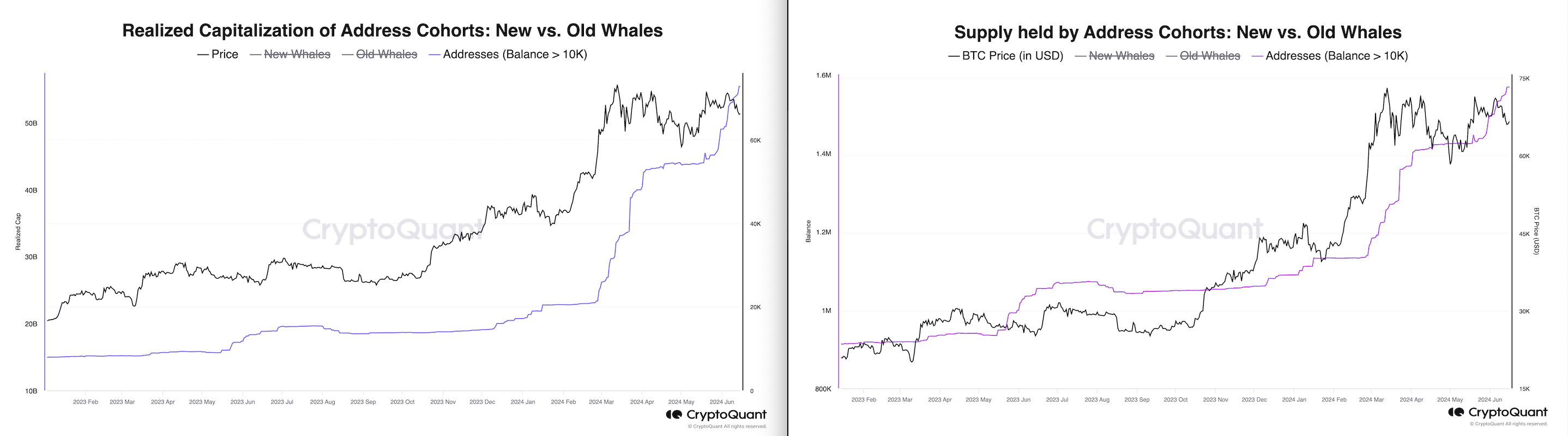 Addresses (Balance +10K) Supply & Realized Cap. Source: CryptoQuant