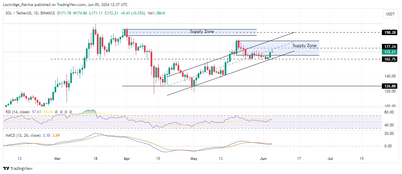 Biểu đồ 1 ngày SOL/USD
