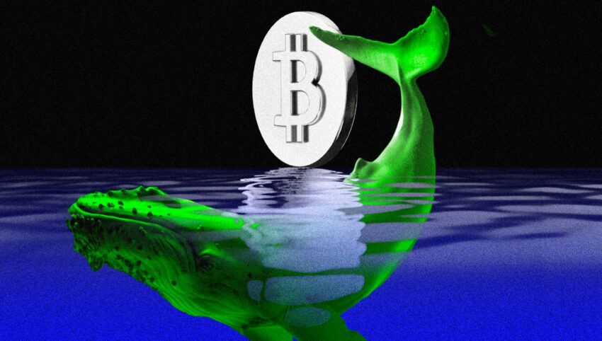Giá Bitcoin giảm có phải do các cược dài hạn của James Wynn?