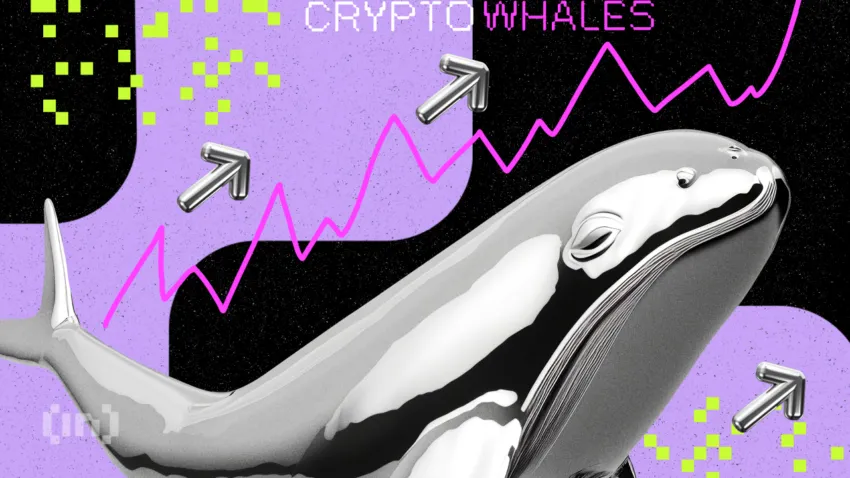 Cá voi đang mua vào 3 Altcoin này với kỳ vọng bùng nổ vào tháng 09/2024