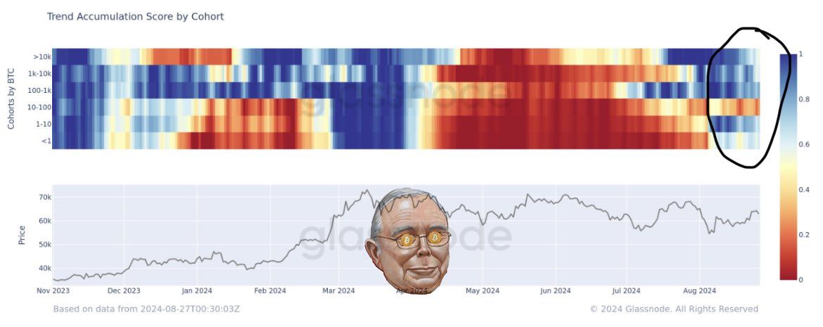 Trend Accumulation Score của các hạng ví Bitcoin. Nguồn: glassnode/bitcoinmunger