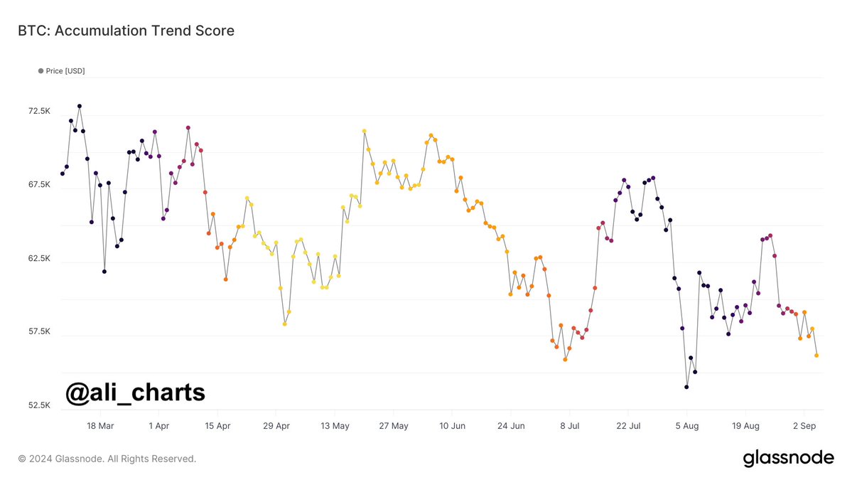 Bitcoin Accumulation Trend Score. Nguồn: Glassnode/ali_charts.